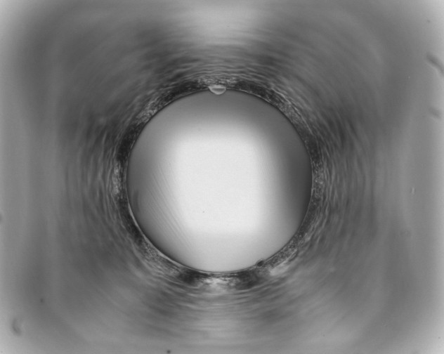 X0000094950323200712271703