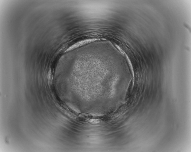 X0000094950324200712271703