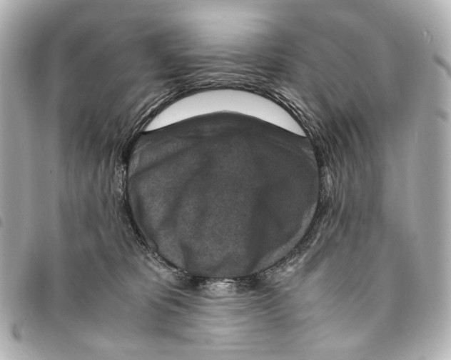 X0000094950325200712271703