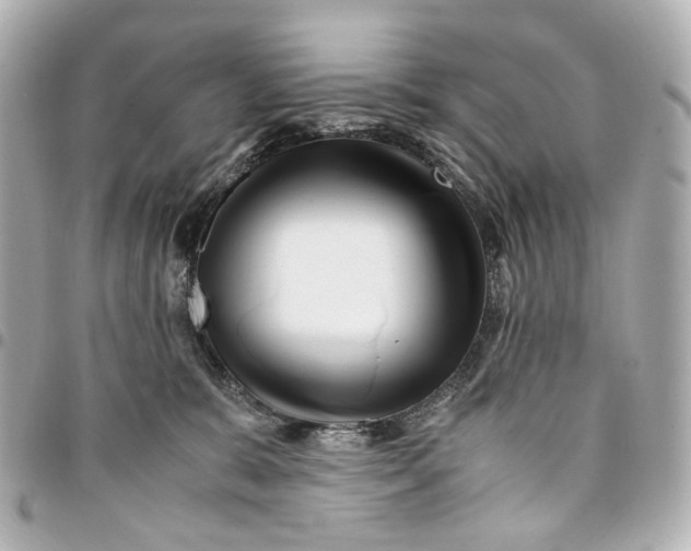 X0000094950327200712271703