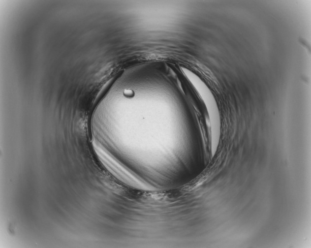 X0000094950329200712271703