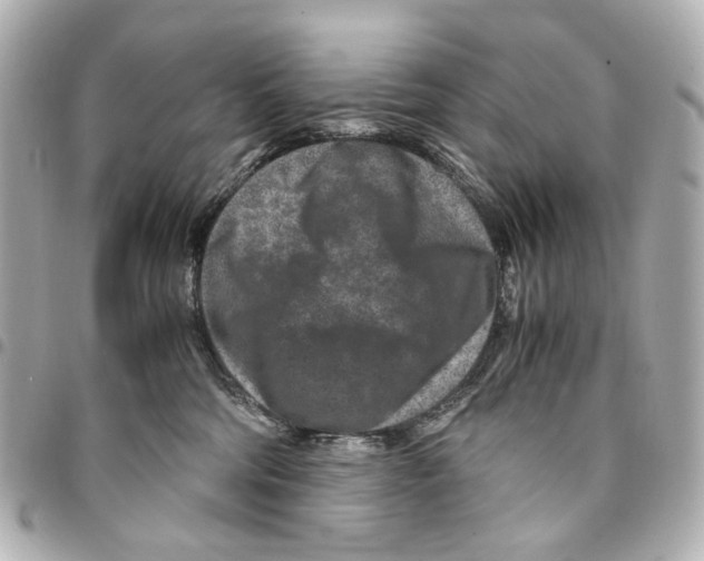 X0000094950330200712271703