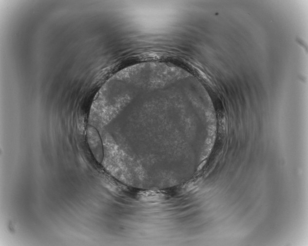 X0000094950331200712271703