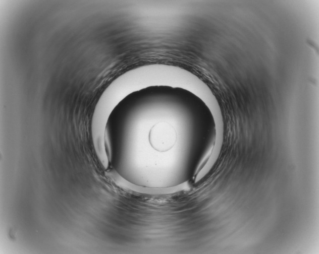 X0000094950332200712271703