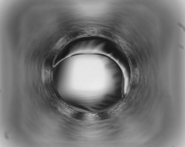 X0000094950333200712271703