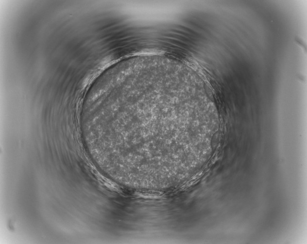 X0000094950337200712271702