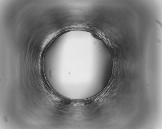 X0000094950340200712271702