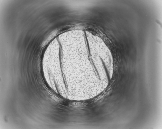 X0000094950341200712271702