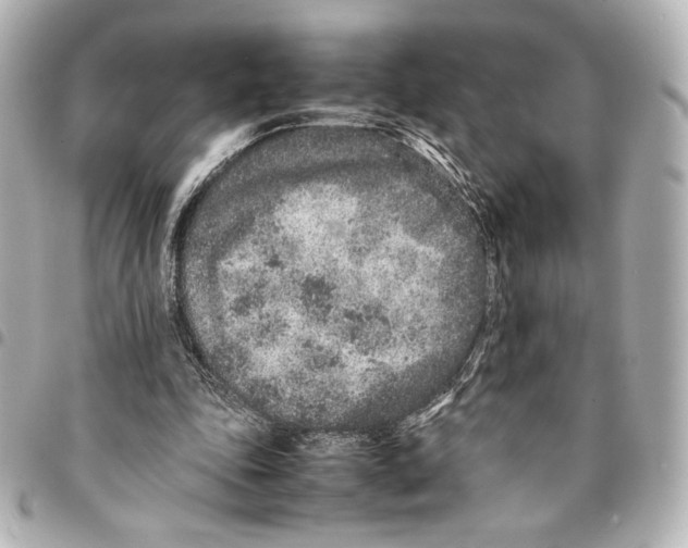 X0000094950343200712271702