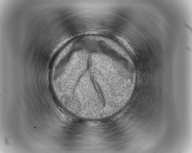 X0000094950346200712271702