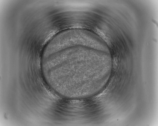 X0000094950347200712271702