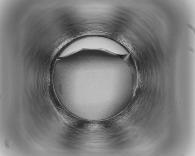 X0000094950348200712271702