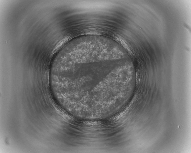 X0000094950349200712271702