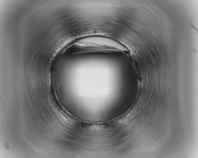 X0000094950350200712271702