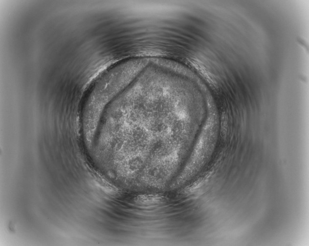 X0000094950351200712271702