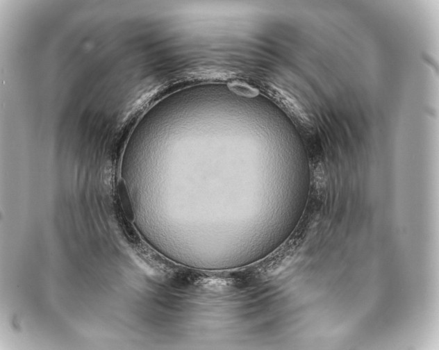 X0000094950352200712271702