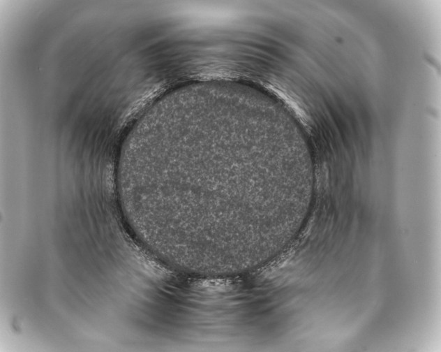 X0000094950353200712271702