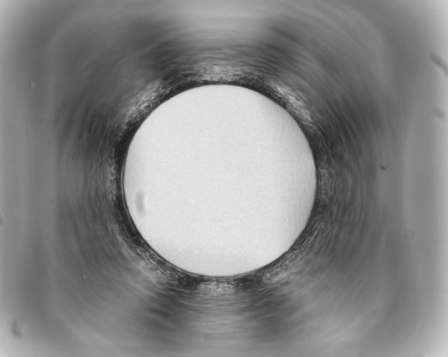 X0000094950354200712271702