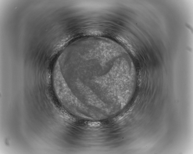 X0000094950355200712271702