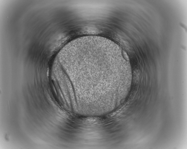 X0000094950358200712271703