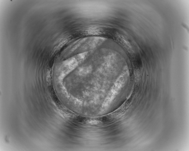 X0000094950360200712271703