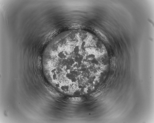 X0000094950361200712271703