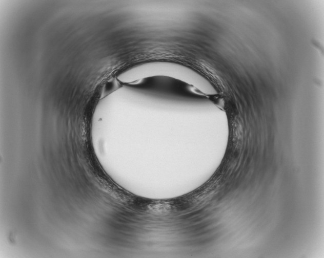 X0000094950362200712271703