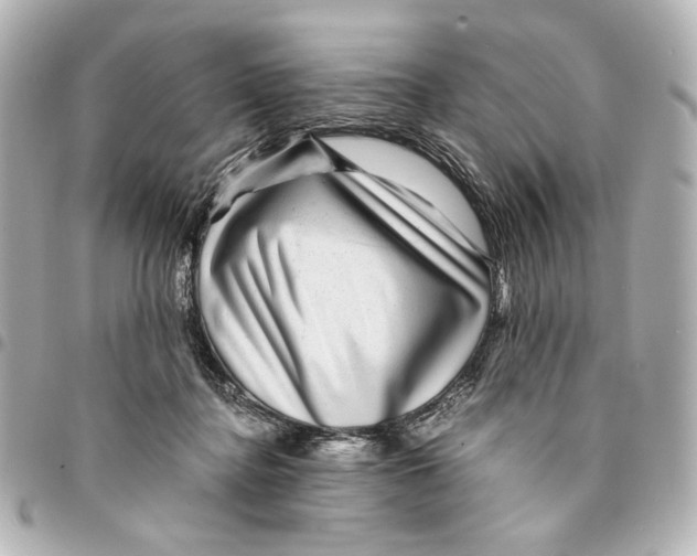 X0000094950364200712271703