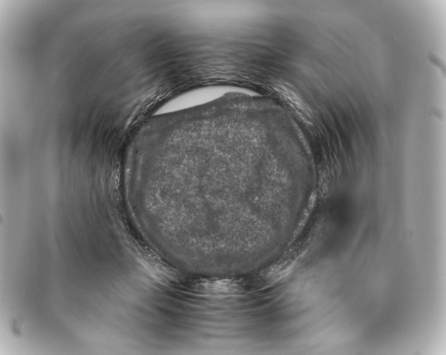 X0000094950365200712271703