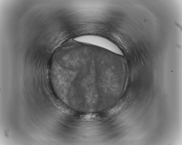 X0000094950366200712271703