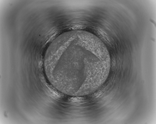 X0000094950367200712271703