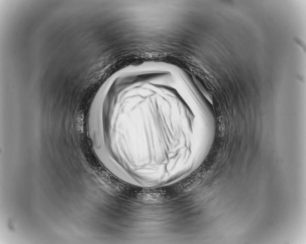 X0000094950368200712271703