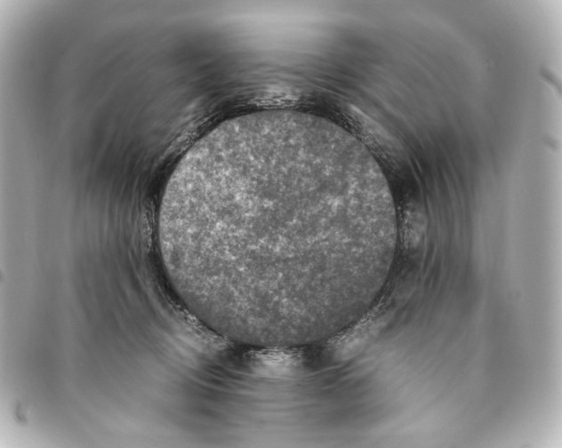 X0000094950370200712271703