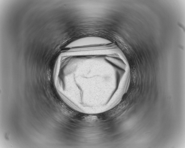 X0000094950374200712271703