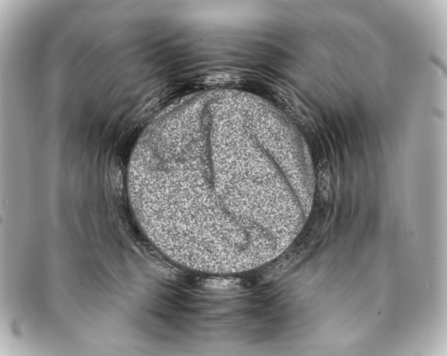 X0000094950375200712271703