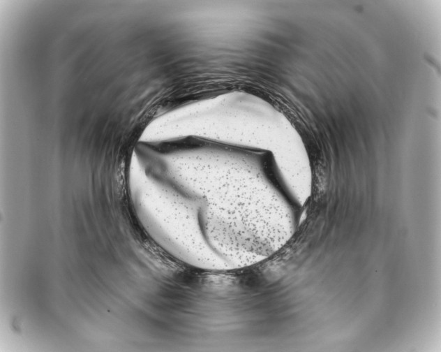 X0000094950376200712271703