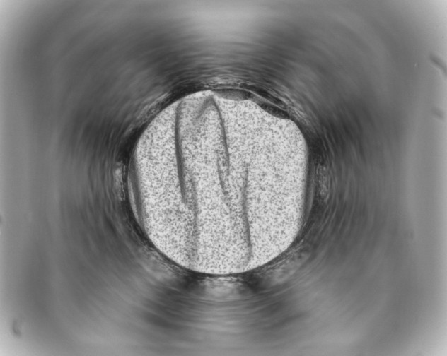 X0000094950378200712271703