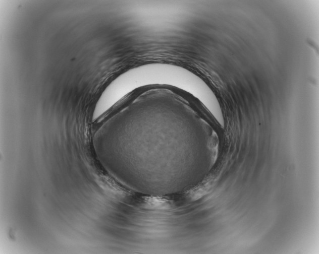 X0000094950380200712271703