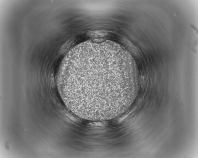 X0000094950381200712271703