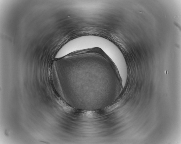 X0000094950382200712271703