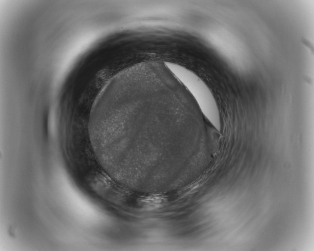 X0000094950383200712271703