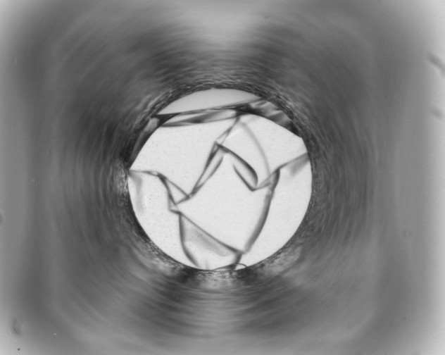 X0000094950384200712271703