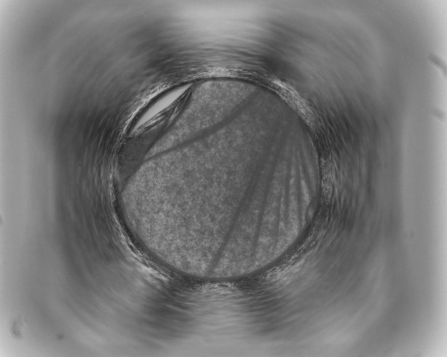 X0000094950386200712271702