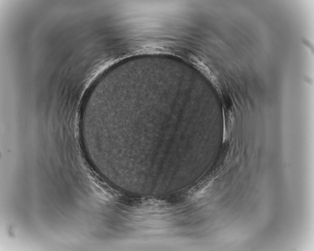 X0000094950387200712271702