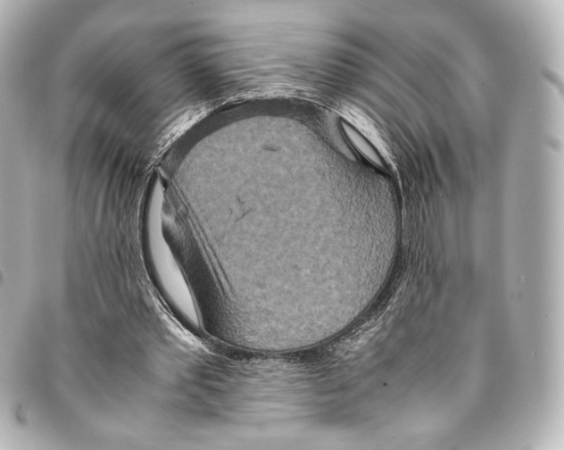 X0000094950389200712271702