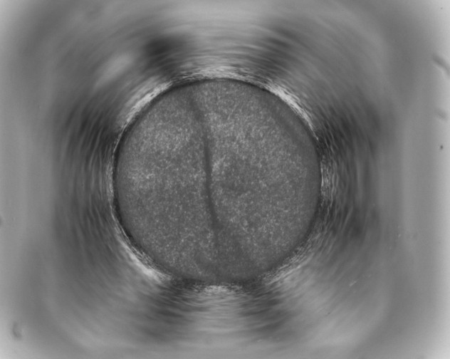 X0000094950390200712271702