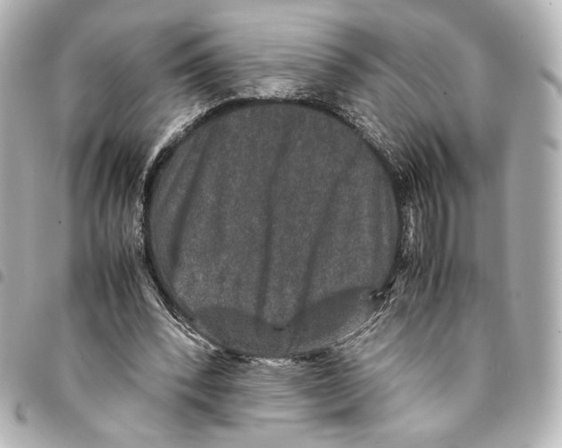 X0000094950392200712271702