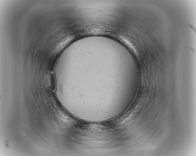 X0000094950393200712271702