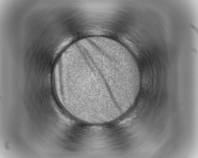 X0000094950394200712271702