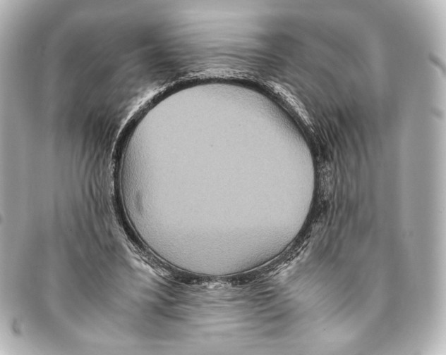 X0000094950395200712271702